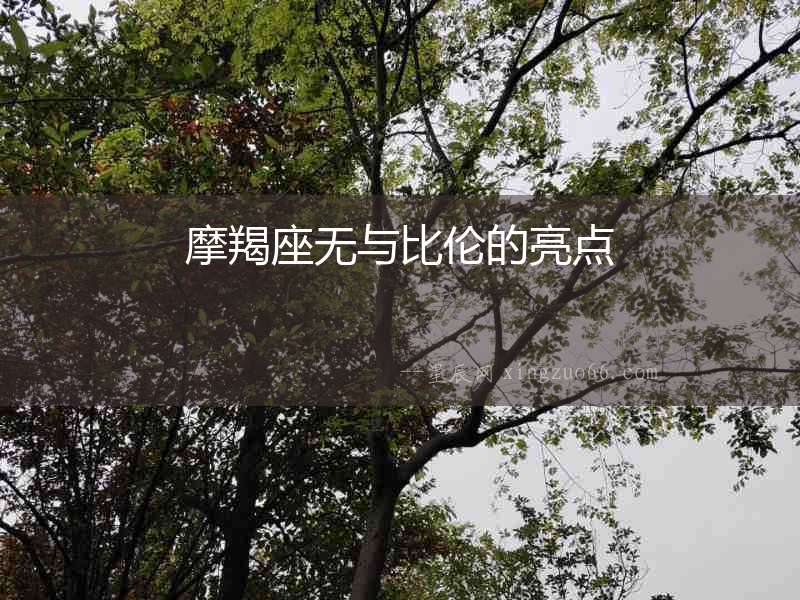 摩羯座無與比倫的亮點