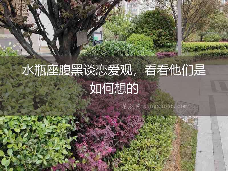 水瓶座腹黑談戀愛觀，看看他們是如何想的