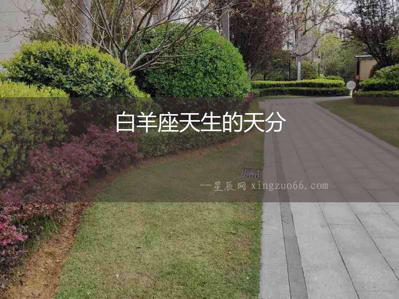 白羊座天生的天分