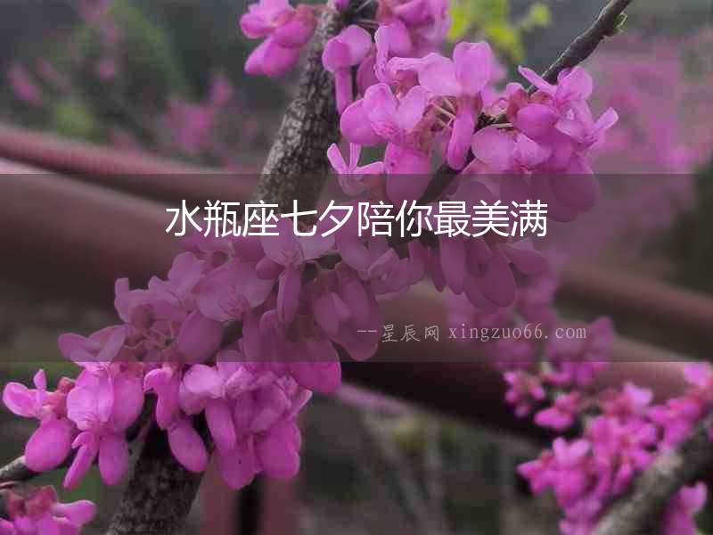 水瓶座七夕陪你最美滿