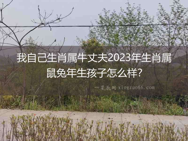 我自己生肖屬牛丈夫2023年生肖屬鼠兔年生孩子怎么樣？