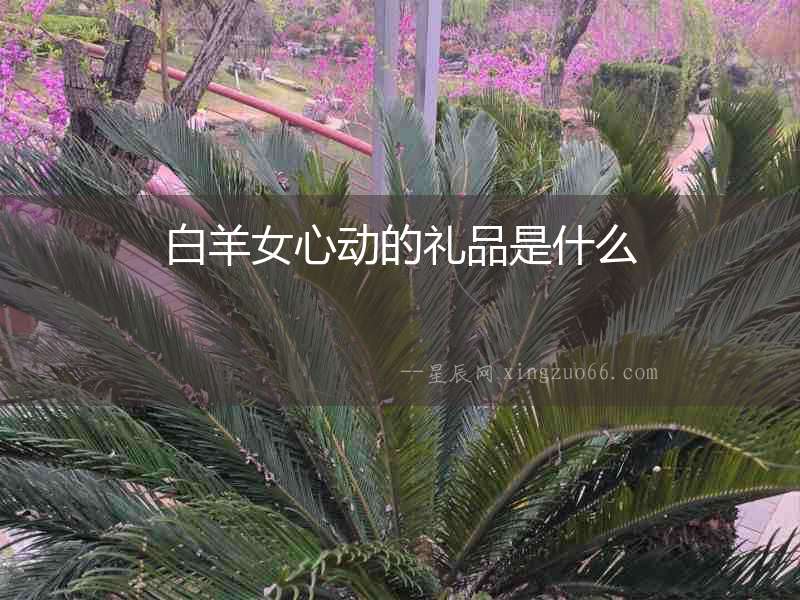白羊女心動的禮品是什么