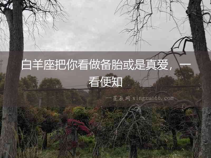 白羊座把你看做備胎或是真愛，一看便知