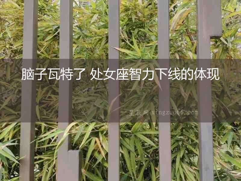 腦子瓦特了 處女座智力下線的體現