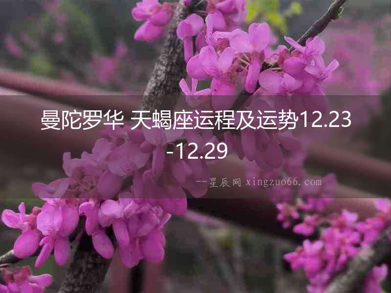 曼陀羅華 天蝎座運(yùn)程及運(yùn)勢12.23-12.29