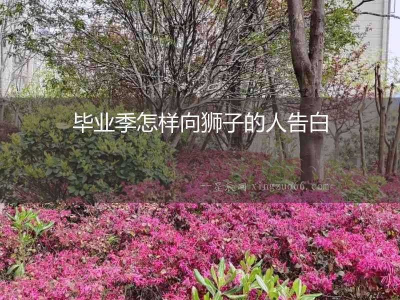 畢業季怎樣向獅子的人告白
