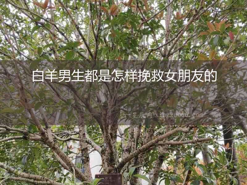 白羊男生都是怎樣挽救女朋友的