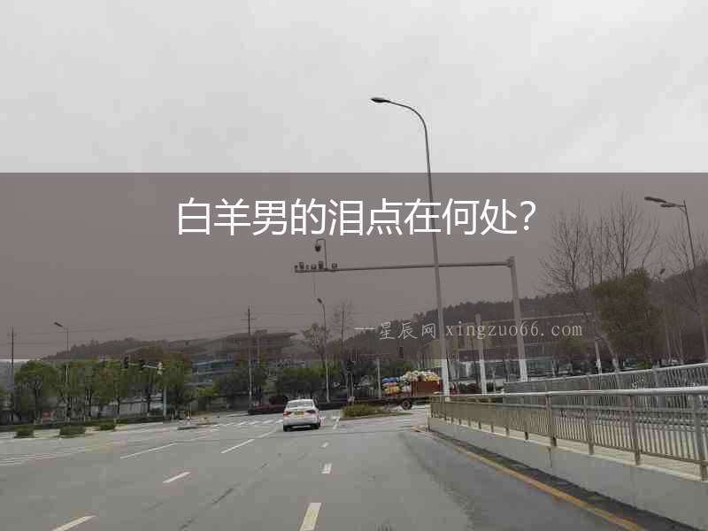 白羊男的淚點在何處？
