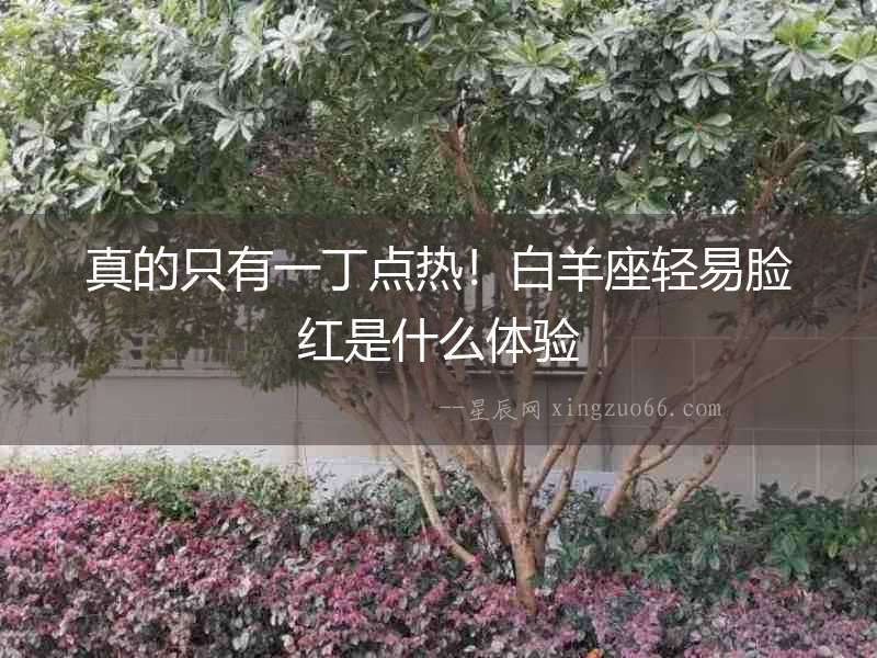 真的只有一丁點熱！白羊座輕易臉紅是什么體驗