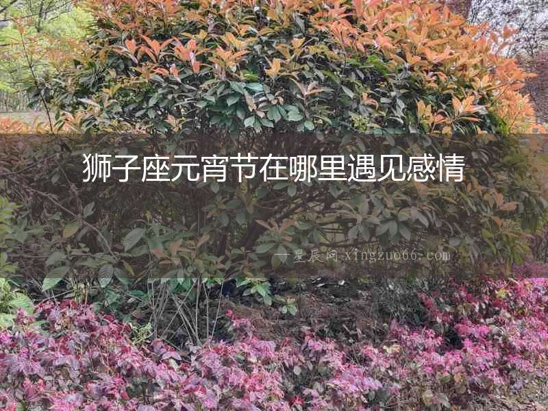 獅子座元宵節(jié)在哪里遇見感情