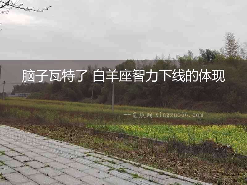 腦子瓦特了 白羊座智力下線的體現(xiàn)