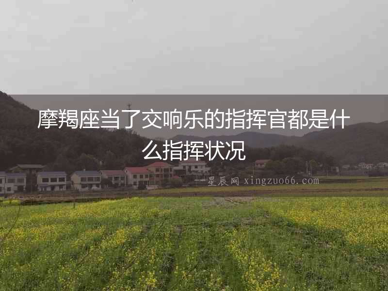 摩羯座當了交響樂的指揮官都是什么指揮狀況