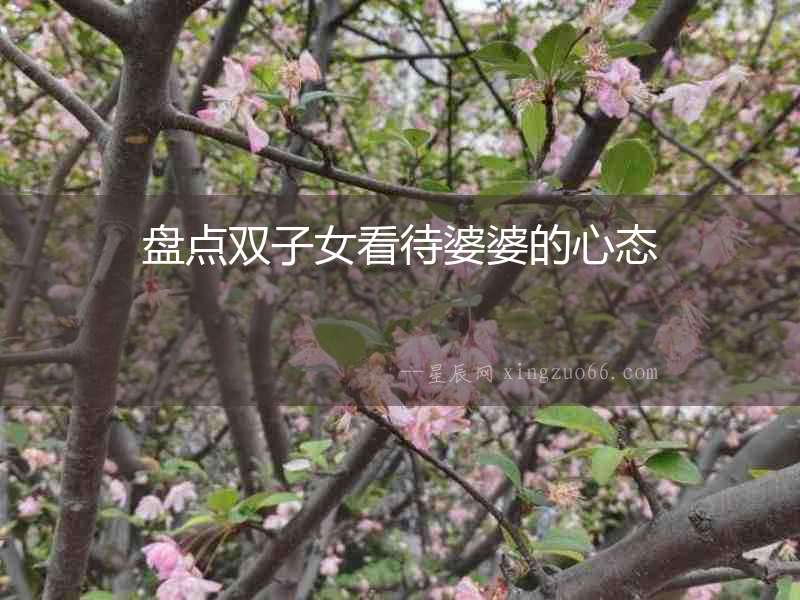 盤點雙子女看待婆婆的心態