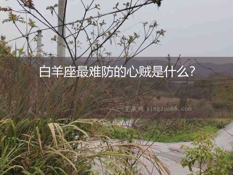 白羊座最難防的心賊是什么？