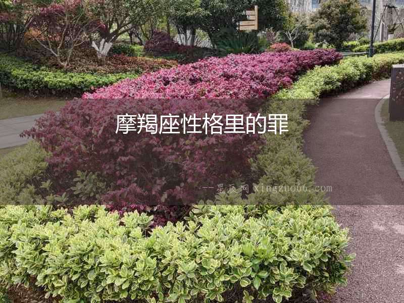 摩羯座性格里的罪