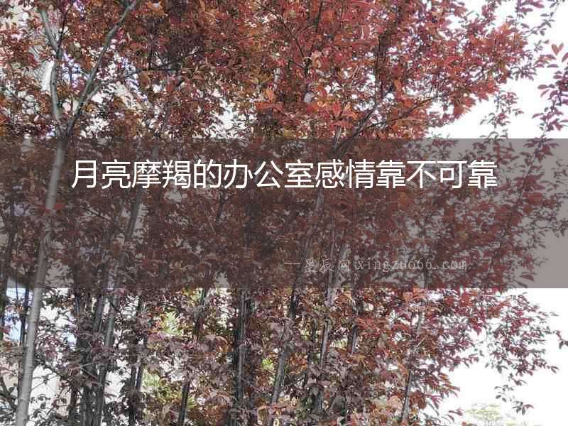 月亮摩羯的辦公室感情靠不可靠