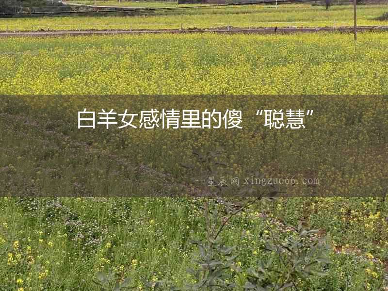 白羊女感情里的傻“聰慧”