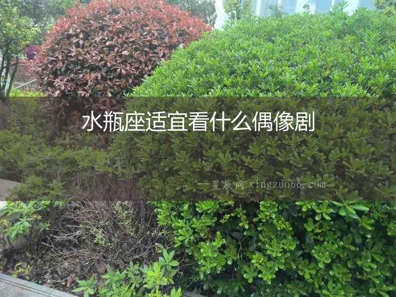 水瓶座適宜看什么偶像劇