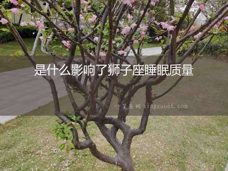 是什么影響了獅子座睡眠質量