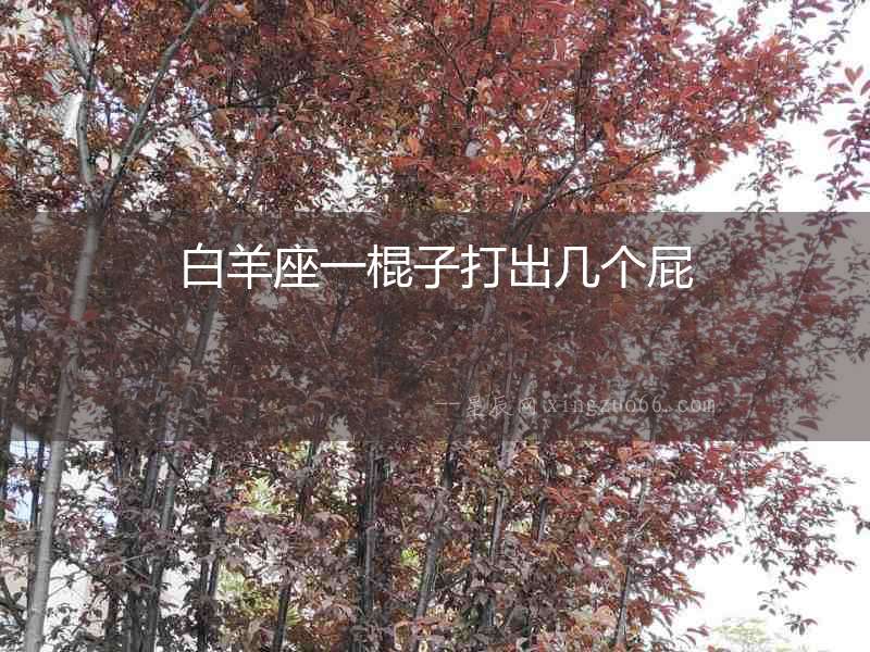 白羊座一棍子打出幾個(gè)屁