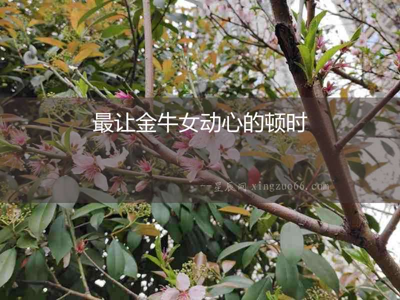 最讓金牛女動(dòng)心的頓時(shí)