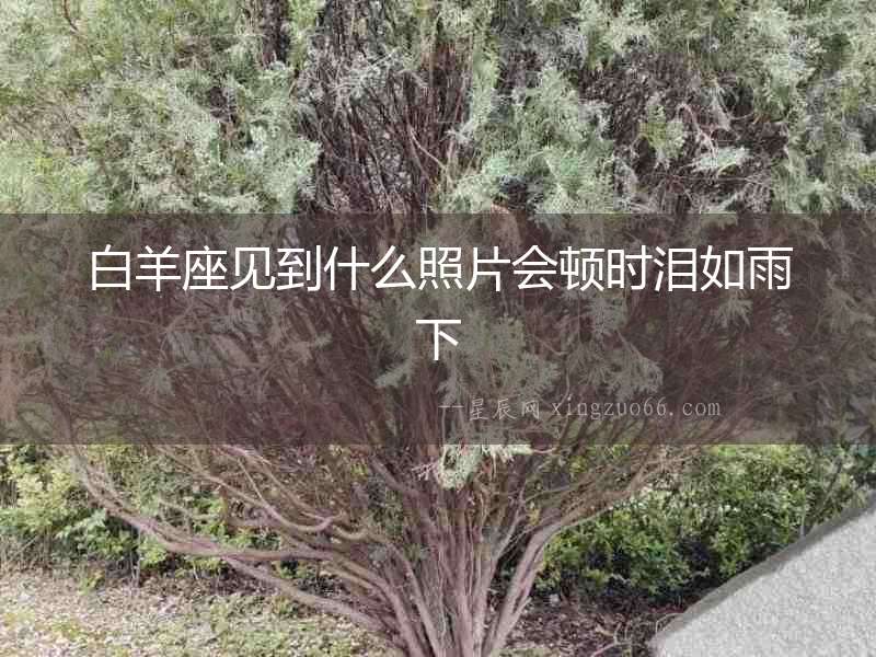 白羊座見到什么照片會頓時淚如雨下