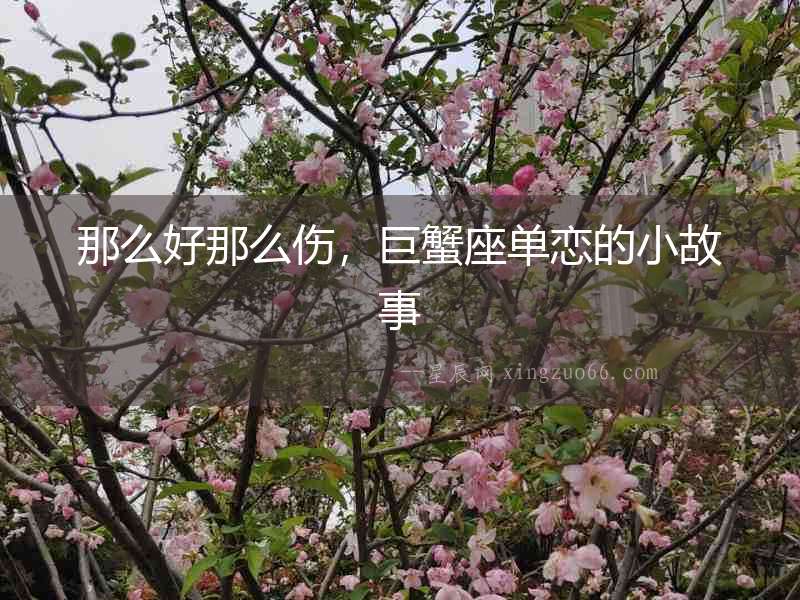 那么好那么傷，巨蟹座單戀的小故事