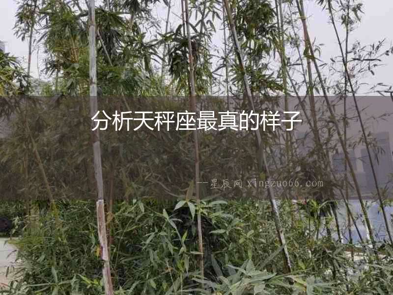 分析天秤座最真的樣子