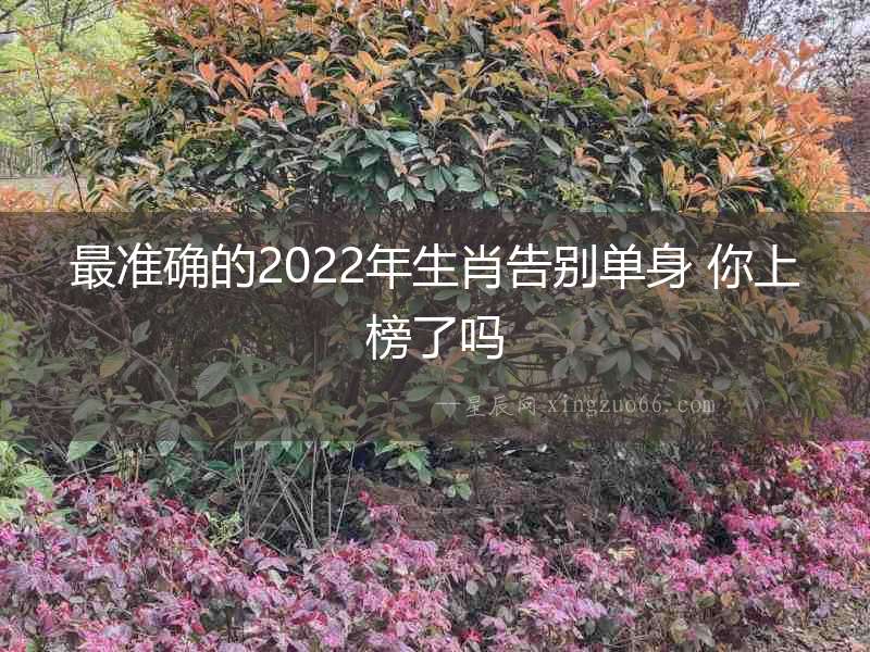 最準確的2022年生肖告別單身 你上榜了嗎