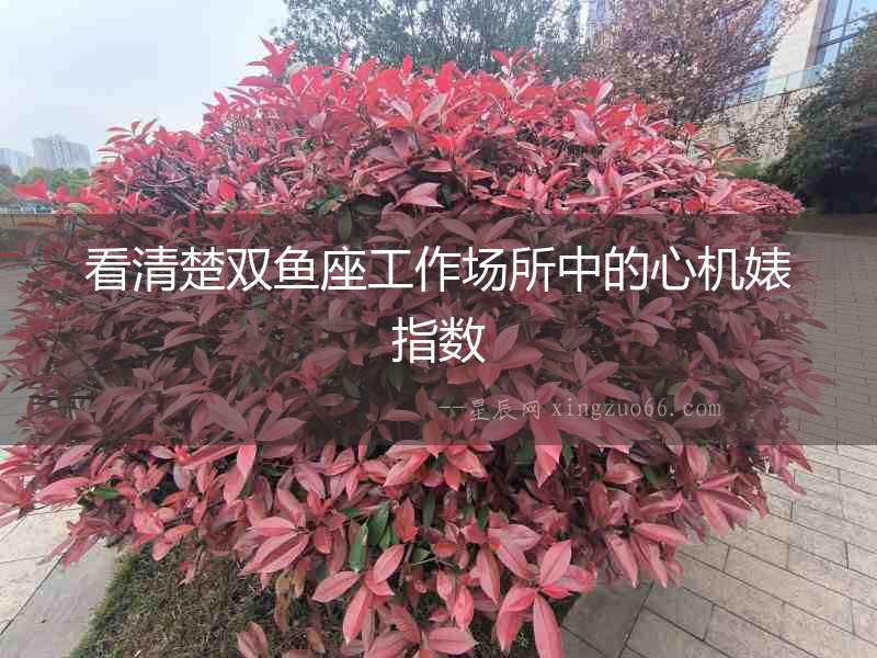 看清楚雙魚座工作場所中的心機婊指數