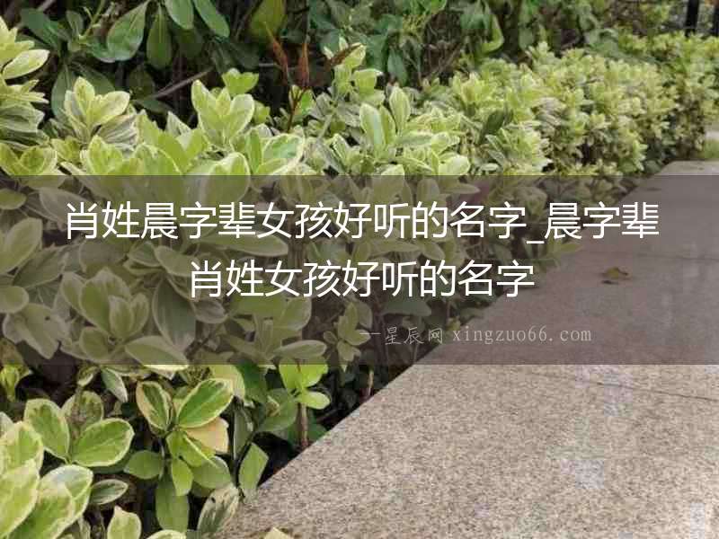 肖姓晨字輩女孩好聽的名字_晨字輩肖姓女孩好聽的名字