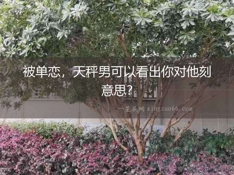 被單戀，天秤男可以看出你對他刻意思？