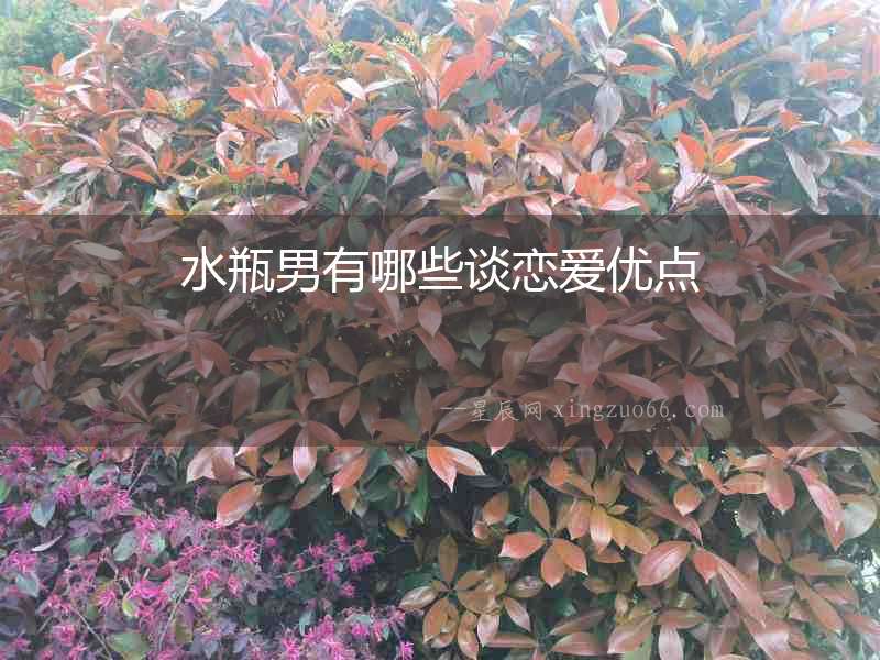 水瓶男有哪些談戀愛優點