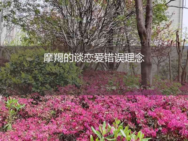 摩羯的談戀愛錯誤理念