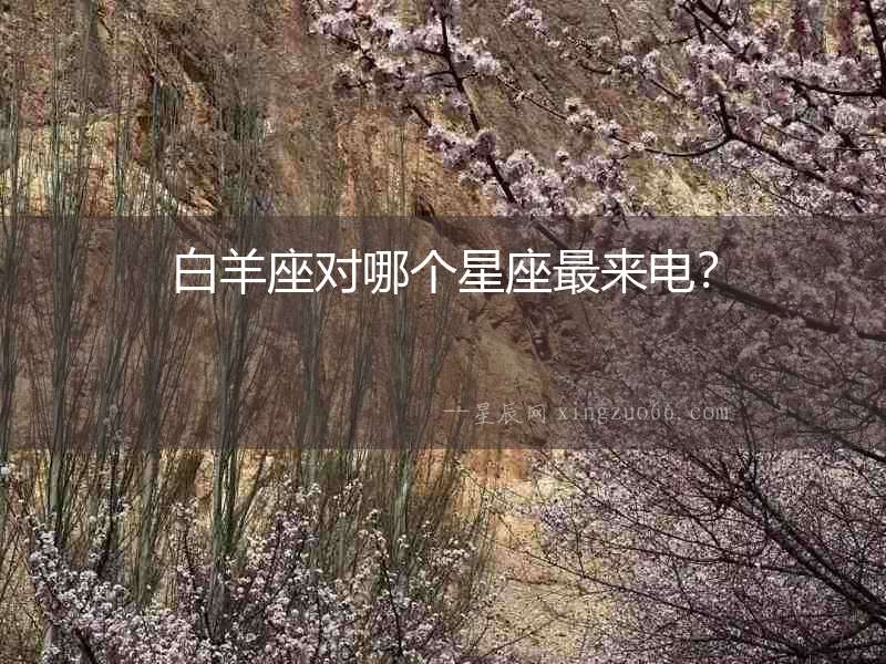 白羊座對哪個星座最來電？
