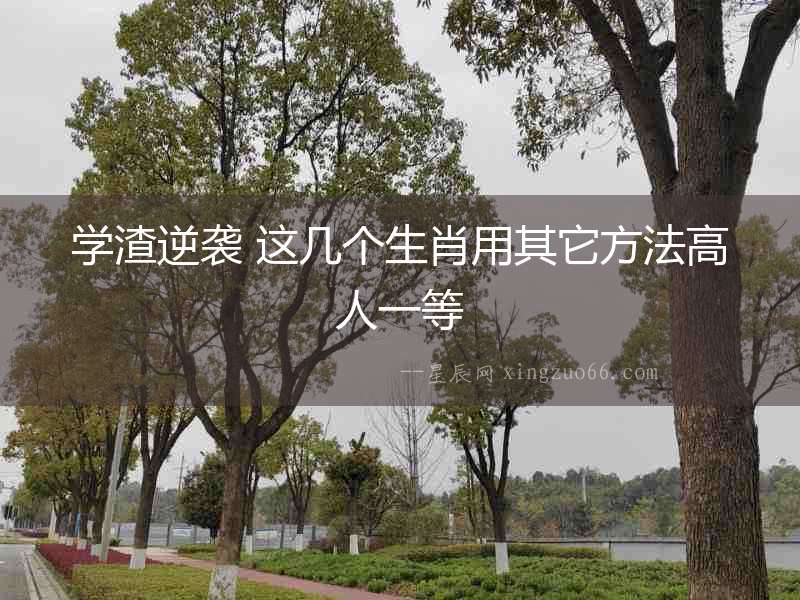 學渣逆襲 這幾個生肖用其它方法高人一等