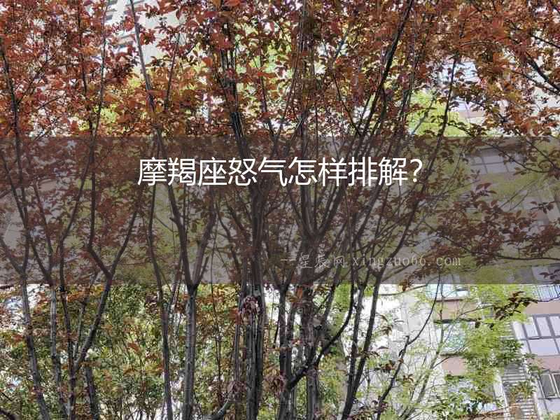 摩羯座怒氣怎樣排解？