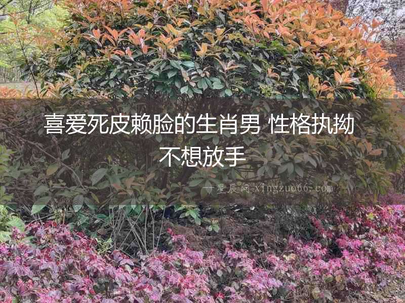 喜愛死皮賴臉的生肖男 性格執拗 不想放手