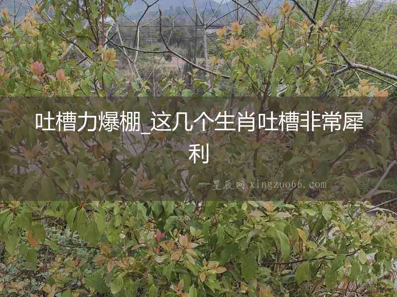 吐槽力爆棚_這幾個生肖吐槽非常犀利