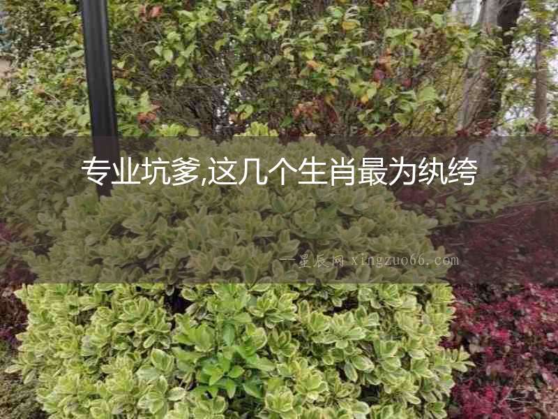 專業坑爹,這幾個生肖最為紈绔