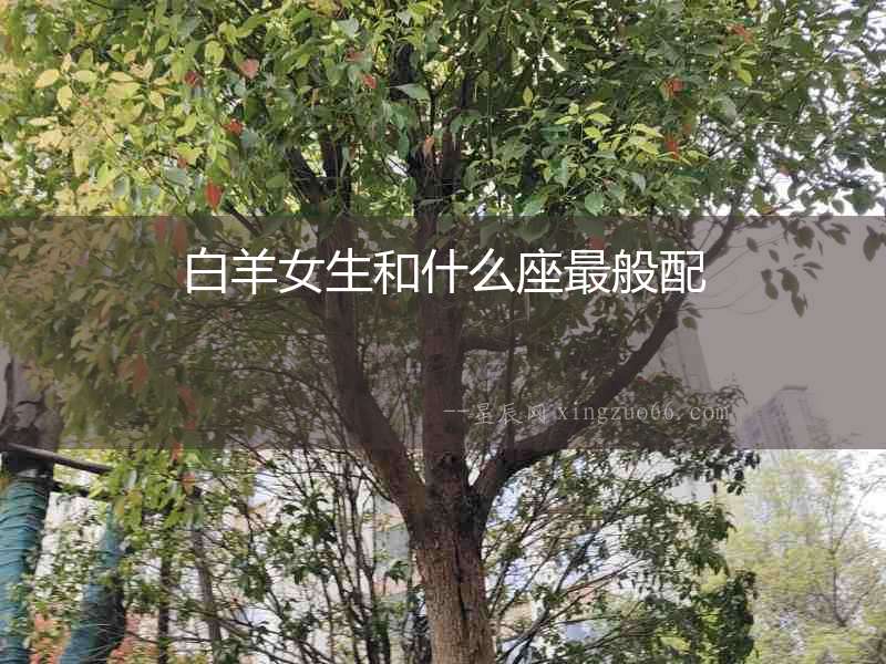 白羊女生和什么座最般配