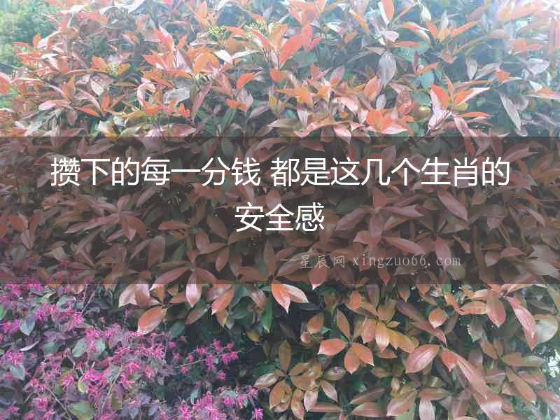 攢下的每一分錢 都是這幾個生肖的安全感