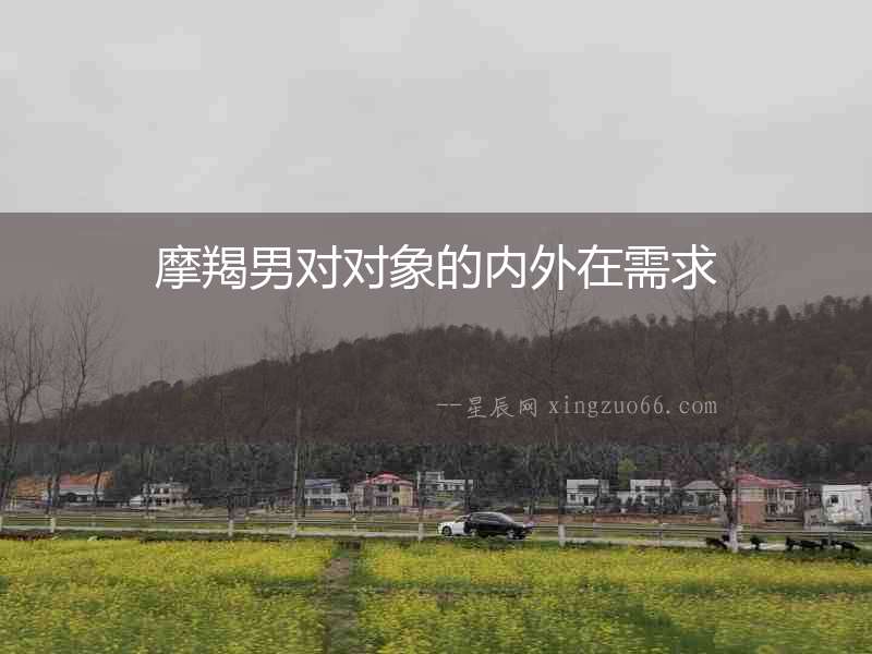 摩羯男對對象的內外在需求