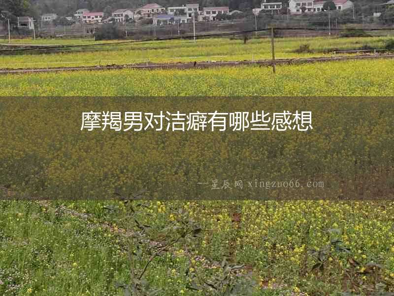 摩羯男對潔癖有哪些感想