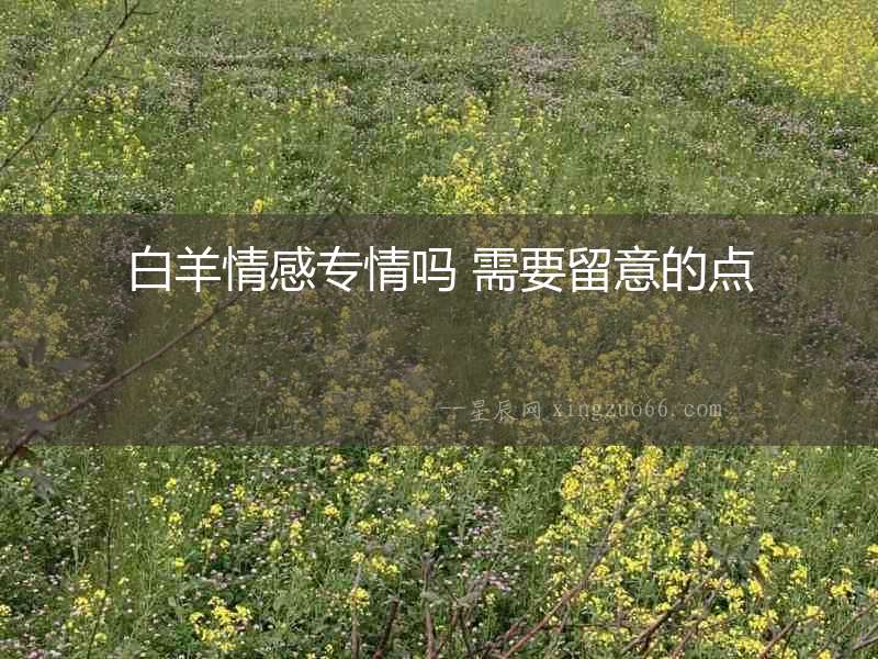 白羊情感專情嗎 需要留意的點