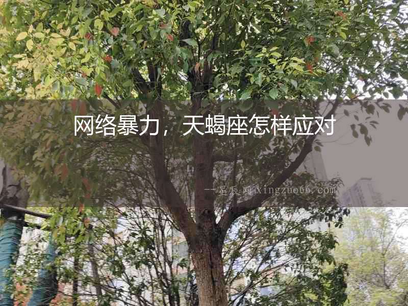 網絡暴力，天蝎座怎樣應對