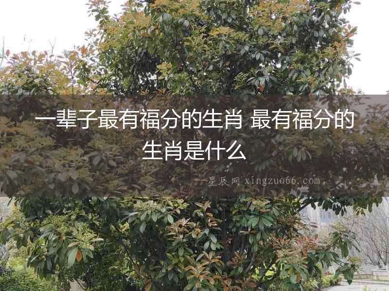 一輩子最有福分的生肖 最有福分的生肖是什么