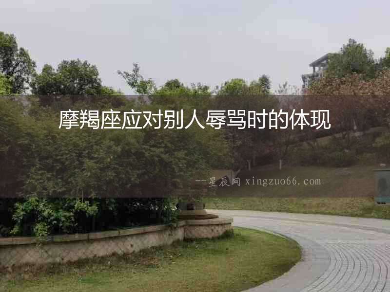 摩羯座應對別人辱罵時的體現
