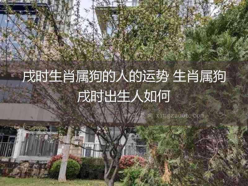 戌時(shí)生肖屬狗的人的運(yùn)勢(shì) 生肖屬狗戌時(shí)出生人如何