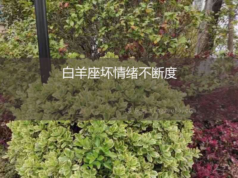 白羊座壞情緒不斷度